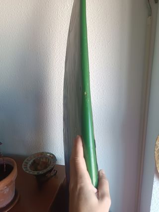 Tabla de surf Pukas 5.9