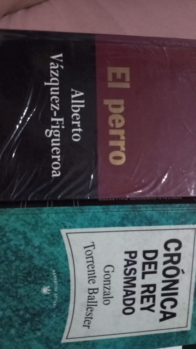 El perro y Crónica del rey pasmado