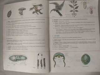 Biología - COU Plan 1975