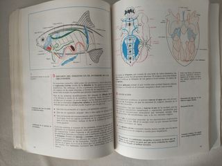 Biología - COU Plan 1975