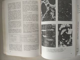 Libro "Geología" año 1982