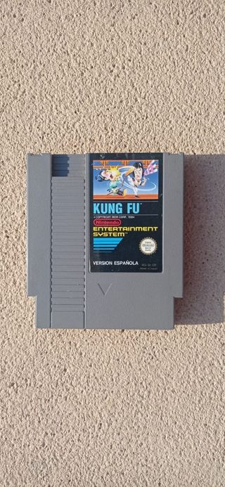 Kung Fu NES