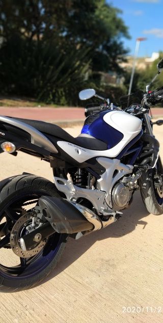 Suzuki Gladius 650