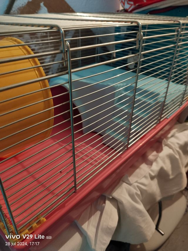 Jaula de hamster