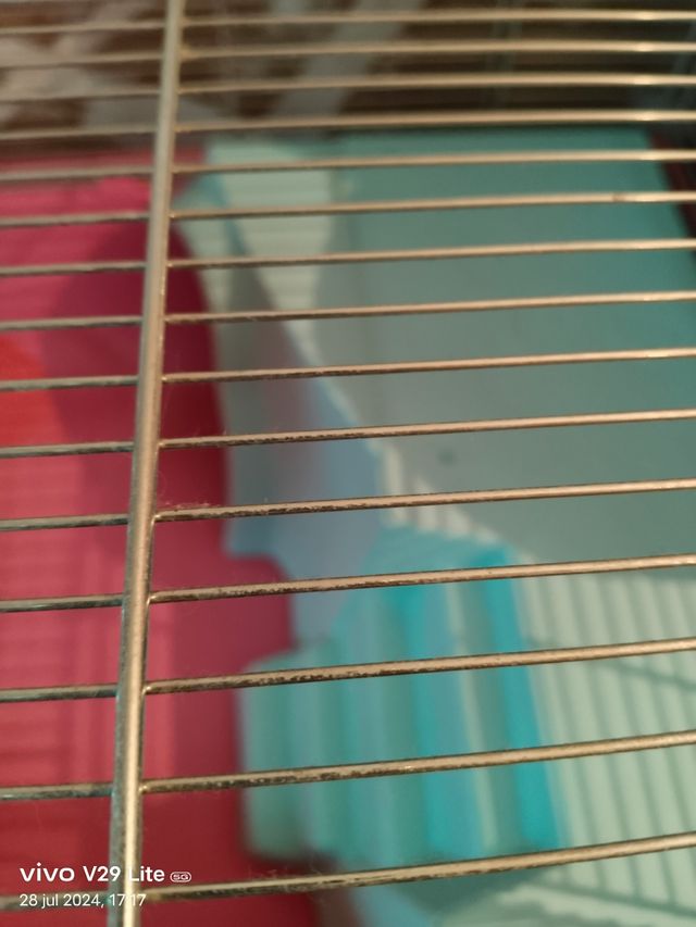 Jaula de hamster
