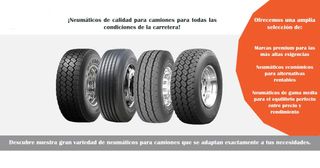 NEUMATICOS VEHICULO INDUSTRIAL / CAMIONES