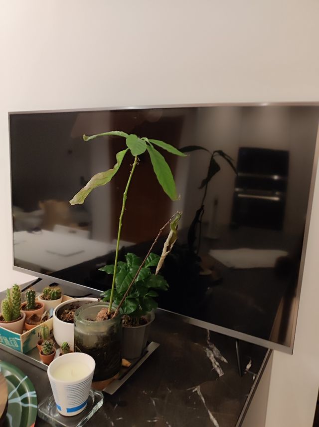 Xiaomi 4S TV 43" pulgadas