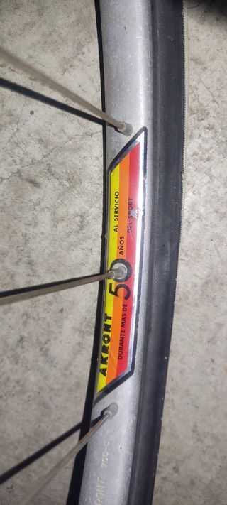 Bicicleta classica