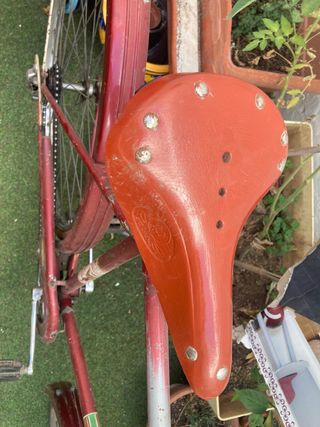 Bicicleta varillas