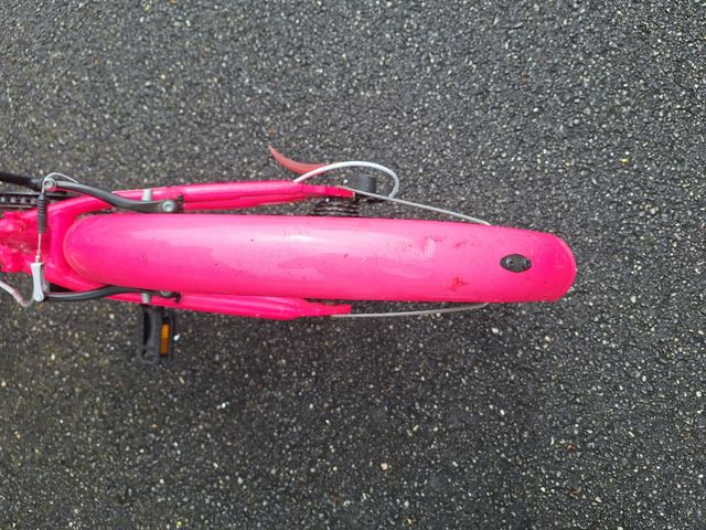 Bicicleta Niña 22''