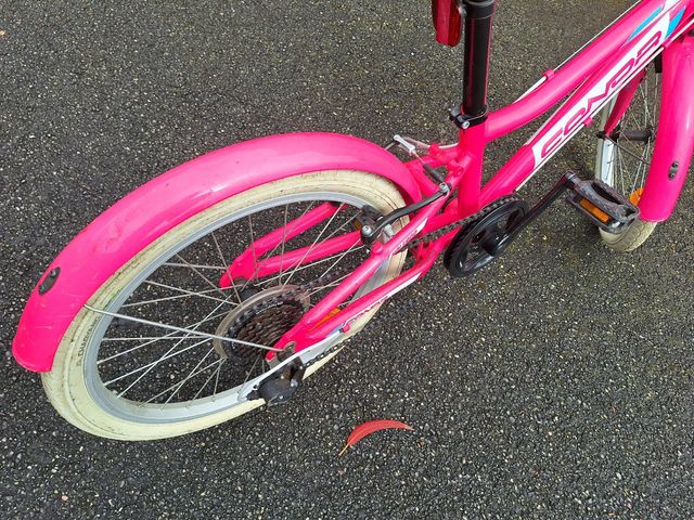 Bicicleta Niña 22''