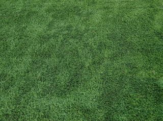 Césped artificial de muy alta calidad