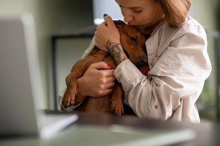 Residencia Canina • Canguro • Cuidador