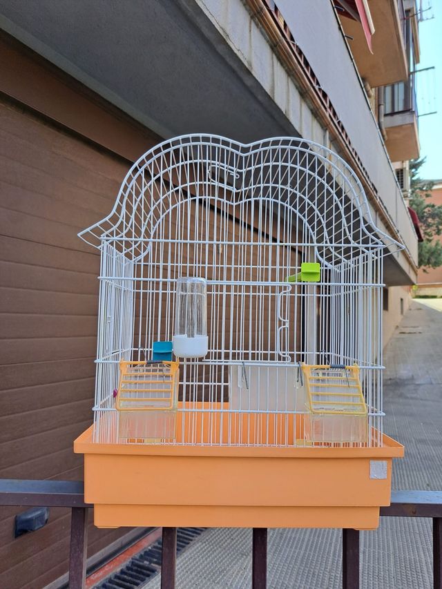 Jaula Pajaros 