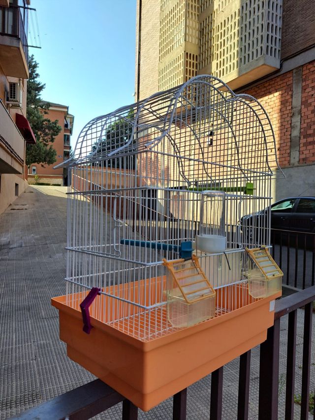 Jaula Pajaros 