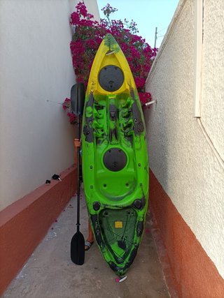 Kayak