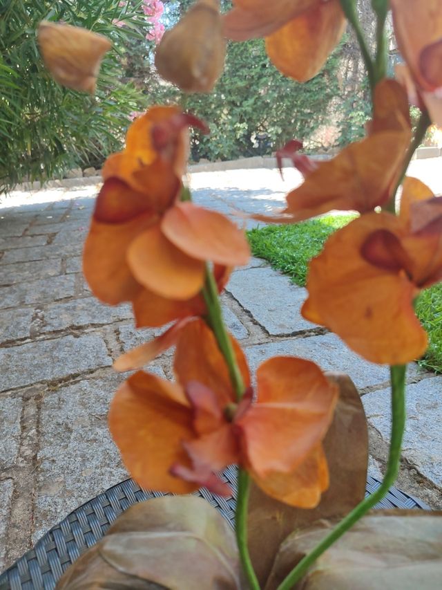 Orquídea artificial