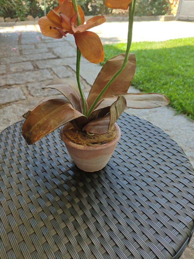 Orquídea artificial