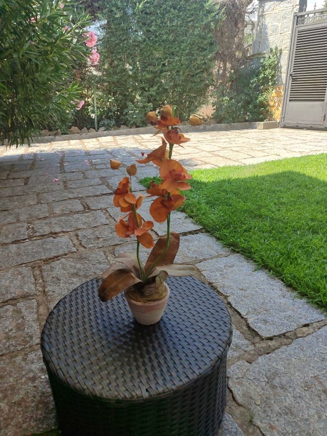 Orquídea artificial