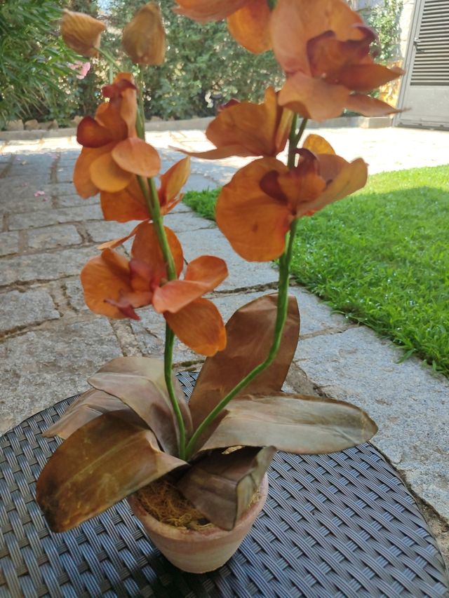 Orquídea artificial