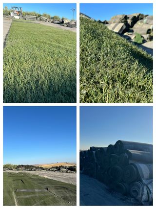 Césped artificial reciclado