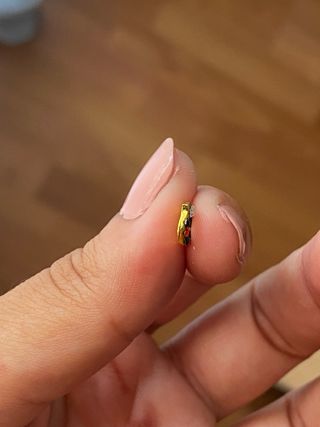 Adornos uñas navidad