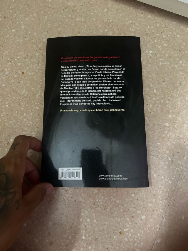 El secuestro de la virgen negra