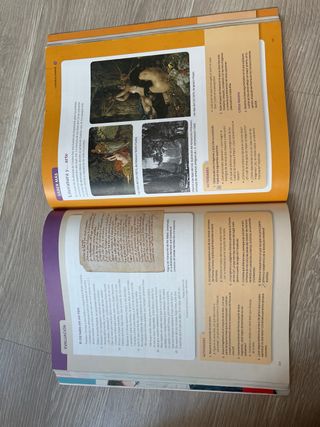 Libro lengua 1 bachillerato santillana