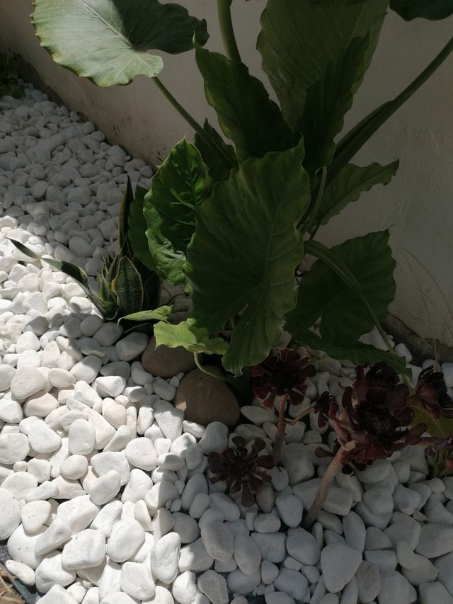 masso da 20 kg in diversi colori e dimensioni