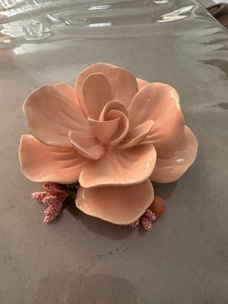 Rosa da arredo