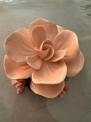 Rosa da arredo