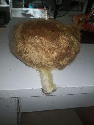 Peluche Castor