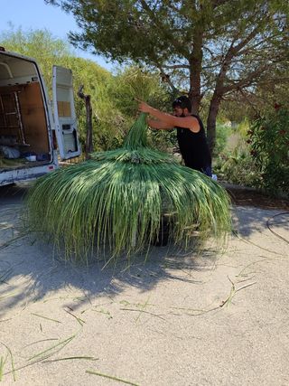 Sombrillas de carri verzo mimbre