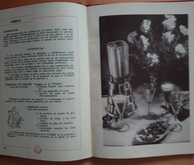 Recetario. Turmix Berrens 8ª edicion