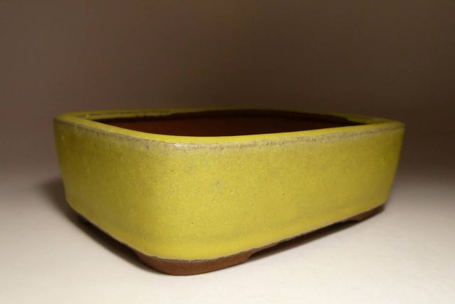 MACETAS DE BONSAI YOUZAN (Yozan) 1ª generación.