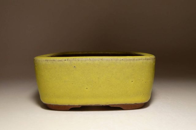 MACETAS DE BONSAI YOUZAN (Yozan) 1ª generación.