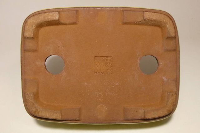 MACETAS DE BONSAI YOUZAN (Yozan) 1ª generación.