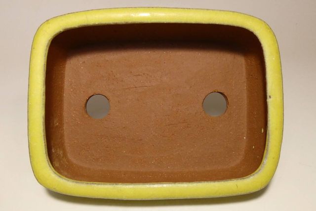 MACETAS DE BONSAI YOUZAN (Yozan) 1ª generación.