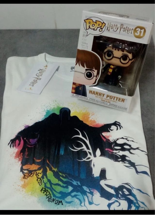 Lote Harry potter
