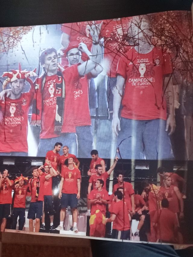 Libro "La roja, un equipo de leyenda".