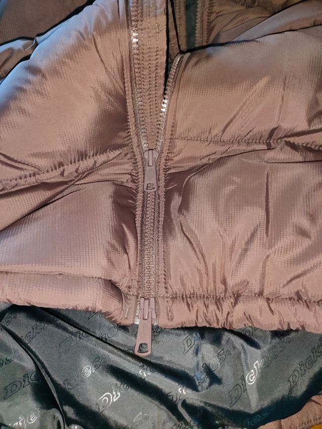 Chaqueta de Invierno Dickies