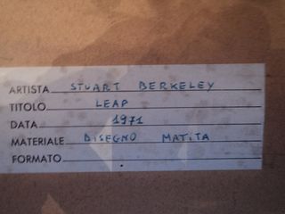 STUART BERKELEY – Leap Misure dell’opera 92 x 68