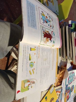 Libro religión católica primaria segundo