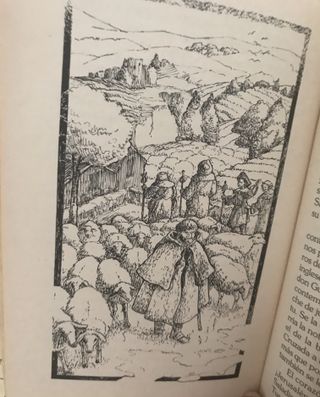 Endrina y el Secreto del Peregrino