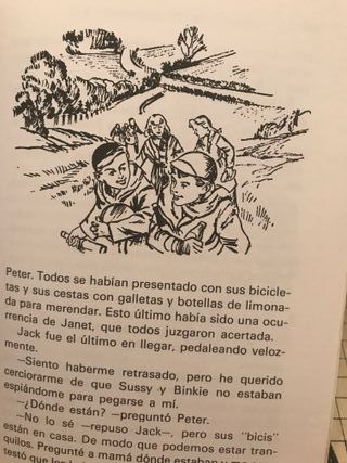 Los Formidables Chicos del Club de los Siete