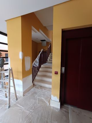 Tus Pintores de confianza