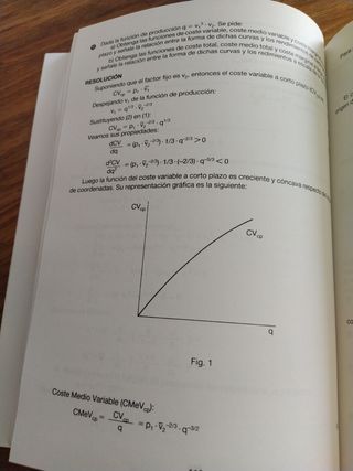 Problemas resueltos de microeconomía int