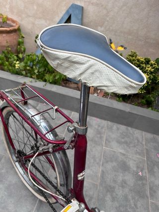 Bicicleta plegable GAC