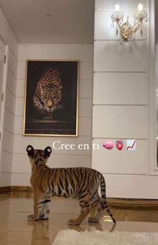 Salón pintado
