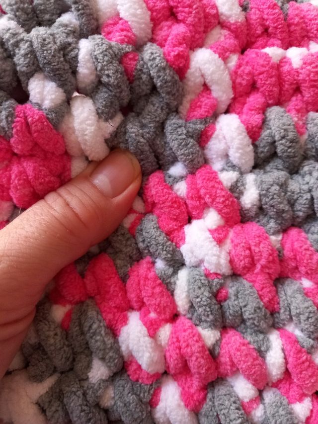 Custodia in ciniglia